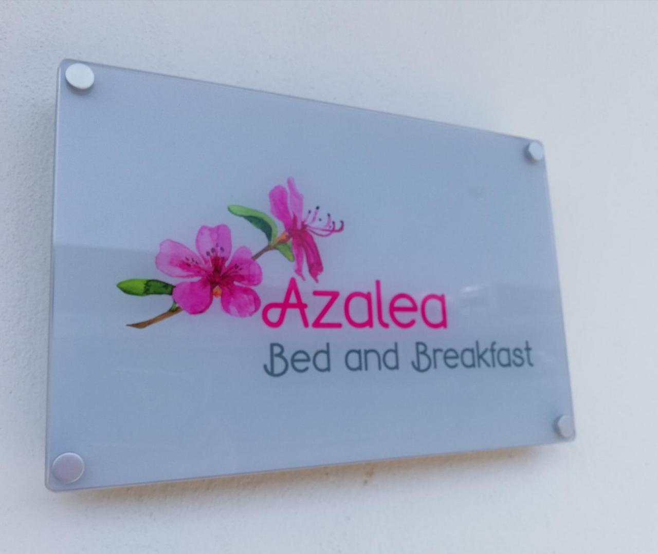 Azalea B&B Naples Extérieur photo