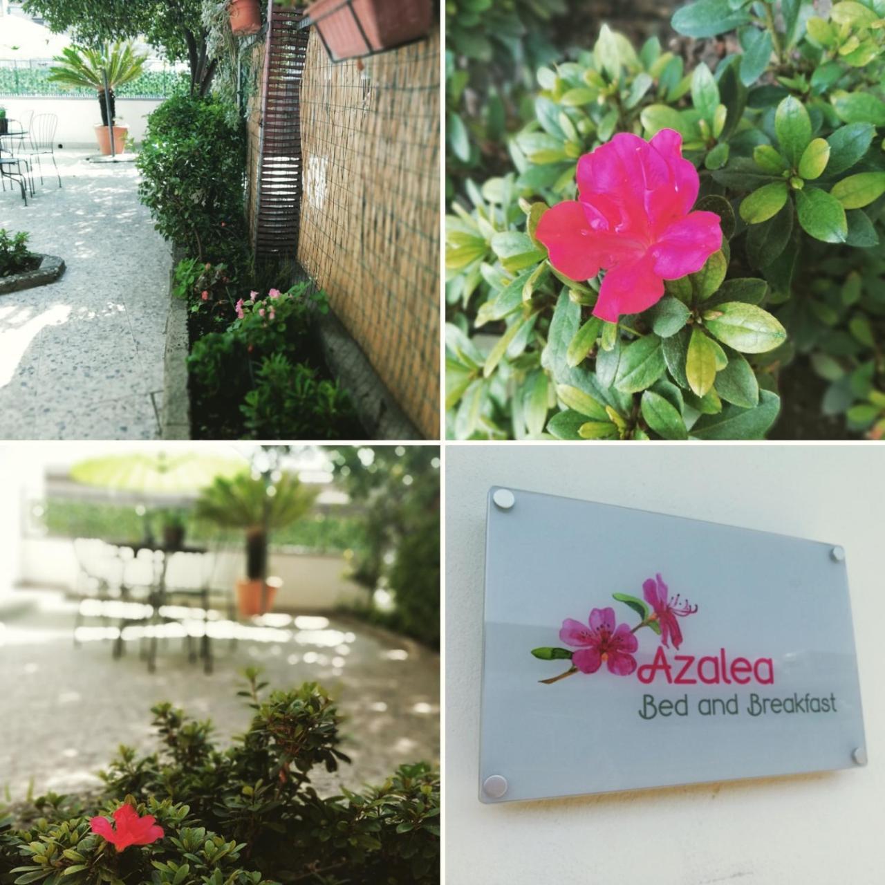 Azalea B&B Naples Extérieur photo