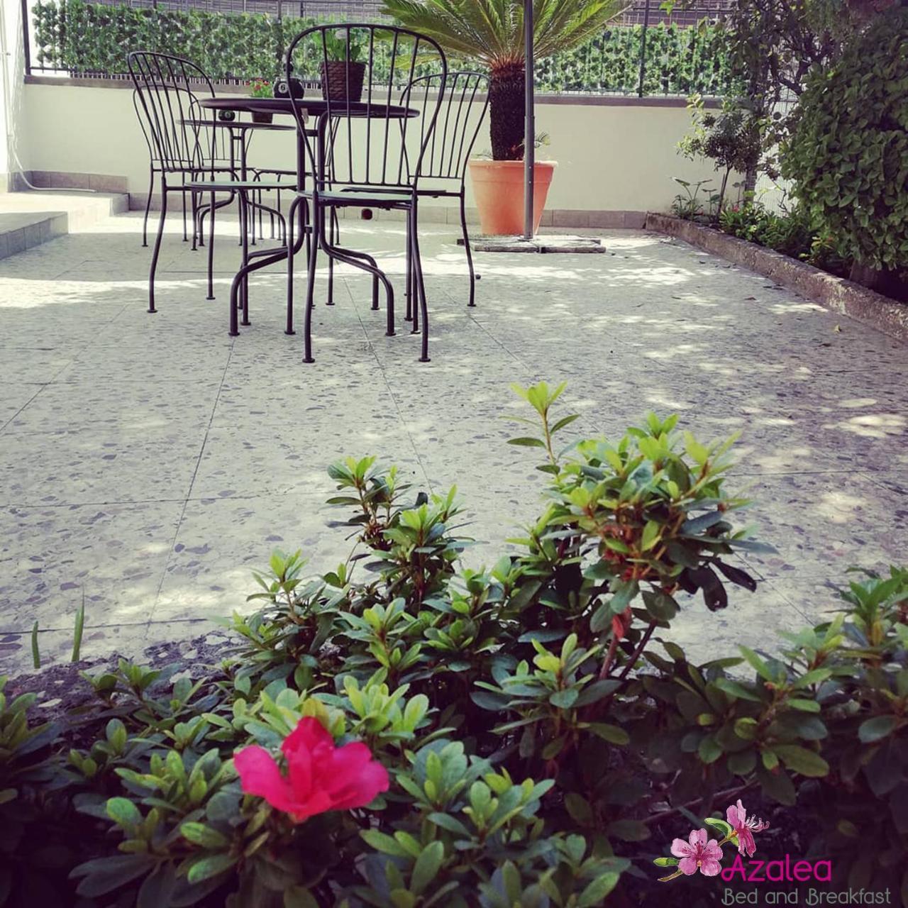 Azalea B&B Naples Extérieur photo