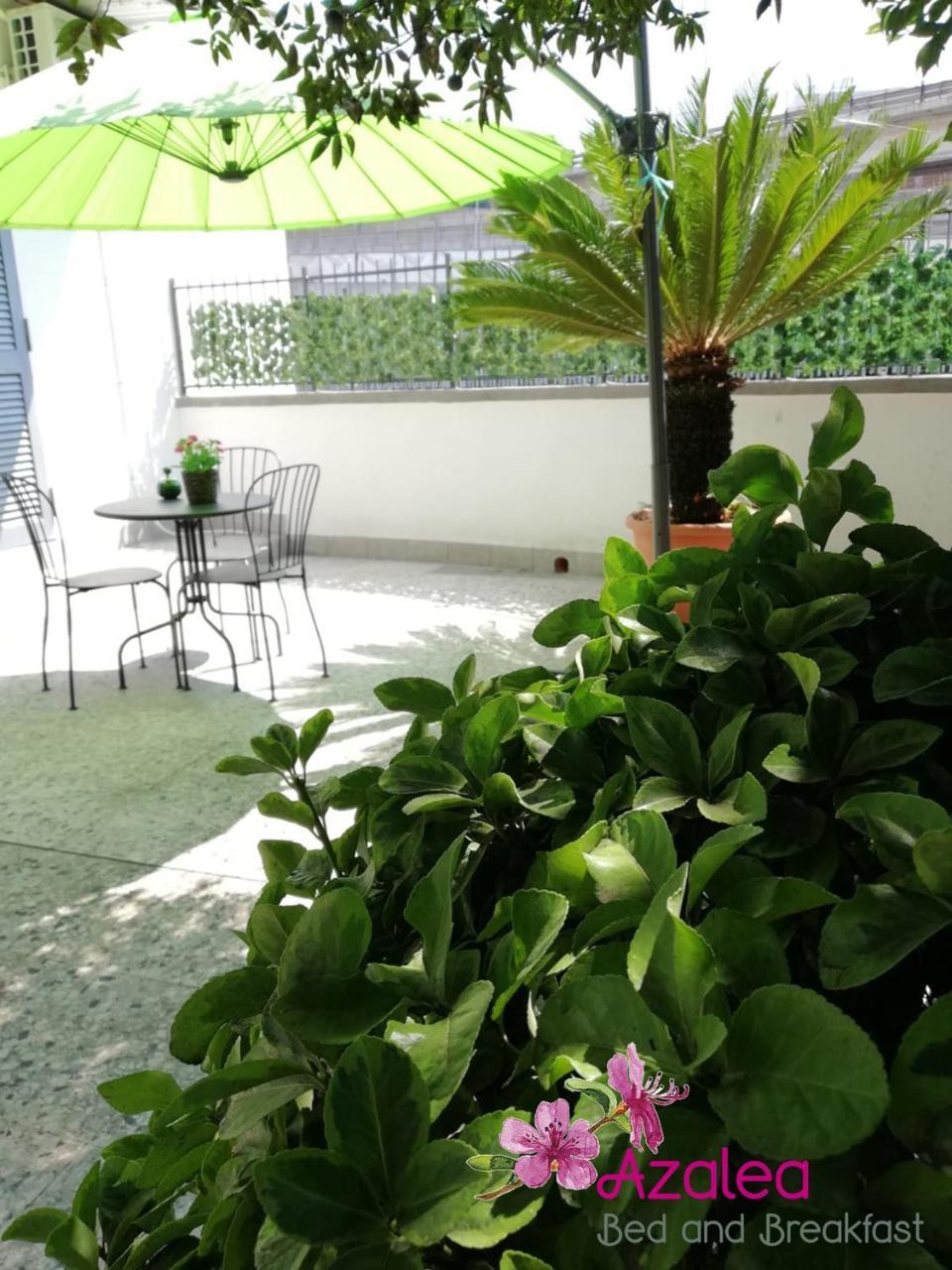 Azalea B&B Naples Extérieur photo