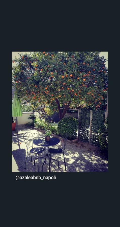 Azalea B&B Naples Extérieur photo